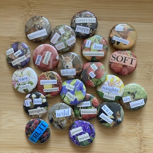 Puede incluir: Una colección de veinte chapas redondas con diversos fondos fotográficos que incluyen animales, flores y frutas. Cada chapa muestra una etiqueta de texto única recortada en papel, como 'Aggressive', 'delicate', 'SOFT' y 'FRUIT'.