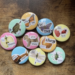 pronoun button badges