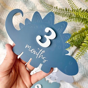 Baby Junge, Baby Monatliche Meilensteine, Meilensteinkarten, austauschbar, Meilensteinkarten, Babypartygeschenk, neues Baby, Hallo Welt, Baby Dinosaurier