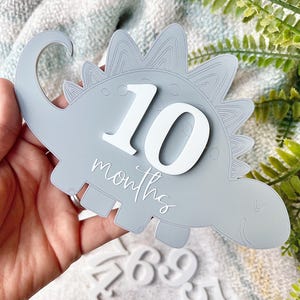 Baby Junge, Baby Monatliche Meilensteine, Meilensteinkarten, austauschbar, Meilensteinkarten, Babypartygeschenk, neues Baby, Hallo Welt, Baby Dinosaurier