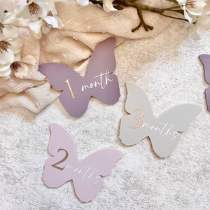 Monatliche Meilenstein Scheibe, Schmetterlinge, Geschenk für Baby Mädchen, Meilenstein Set, Baby Ankündigung, Neugeborenen Foto Prop, Meilenstein Set für Baby Mädchen
