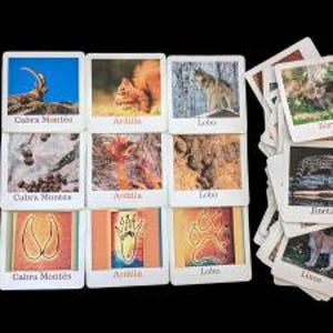 Juego de cartas educativo. Huellas y Rastros de Fauna