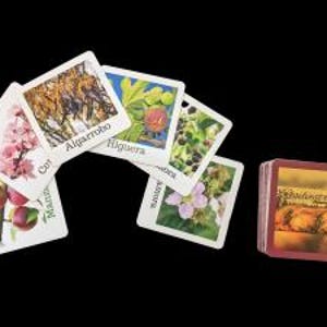 Juego de memoria árboles y arbustos comestibles.