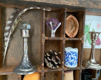 The Collector: ENCHANTED FAIRY Old Letterpress Printers Drawer Woods Miniatures Vintage Encyclopedia Cutouts Plants Animals Horse Coffin Key