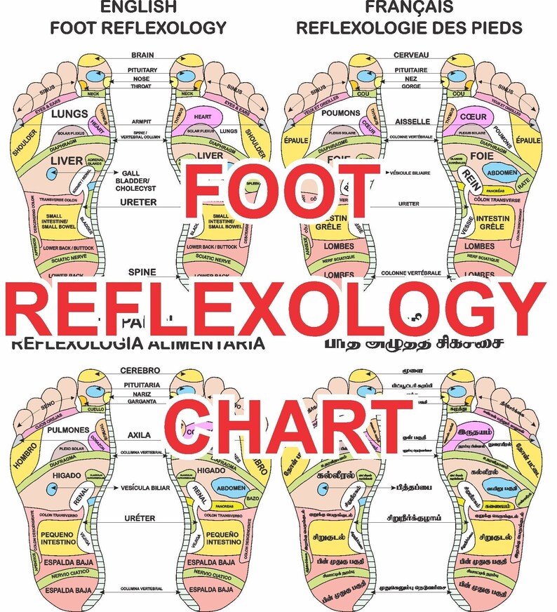 Foot Reflexology Chart in 4 Languages English French Spanish Tamil DIGITAL PRODUCT Etsy