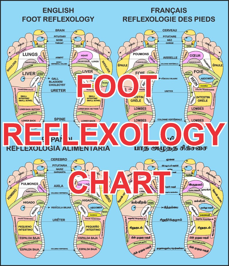 Foot Reflexology Chart in 4 Languages English French Spanish Tamil DIGITAL PRODUCT Etsy
