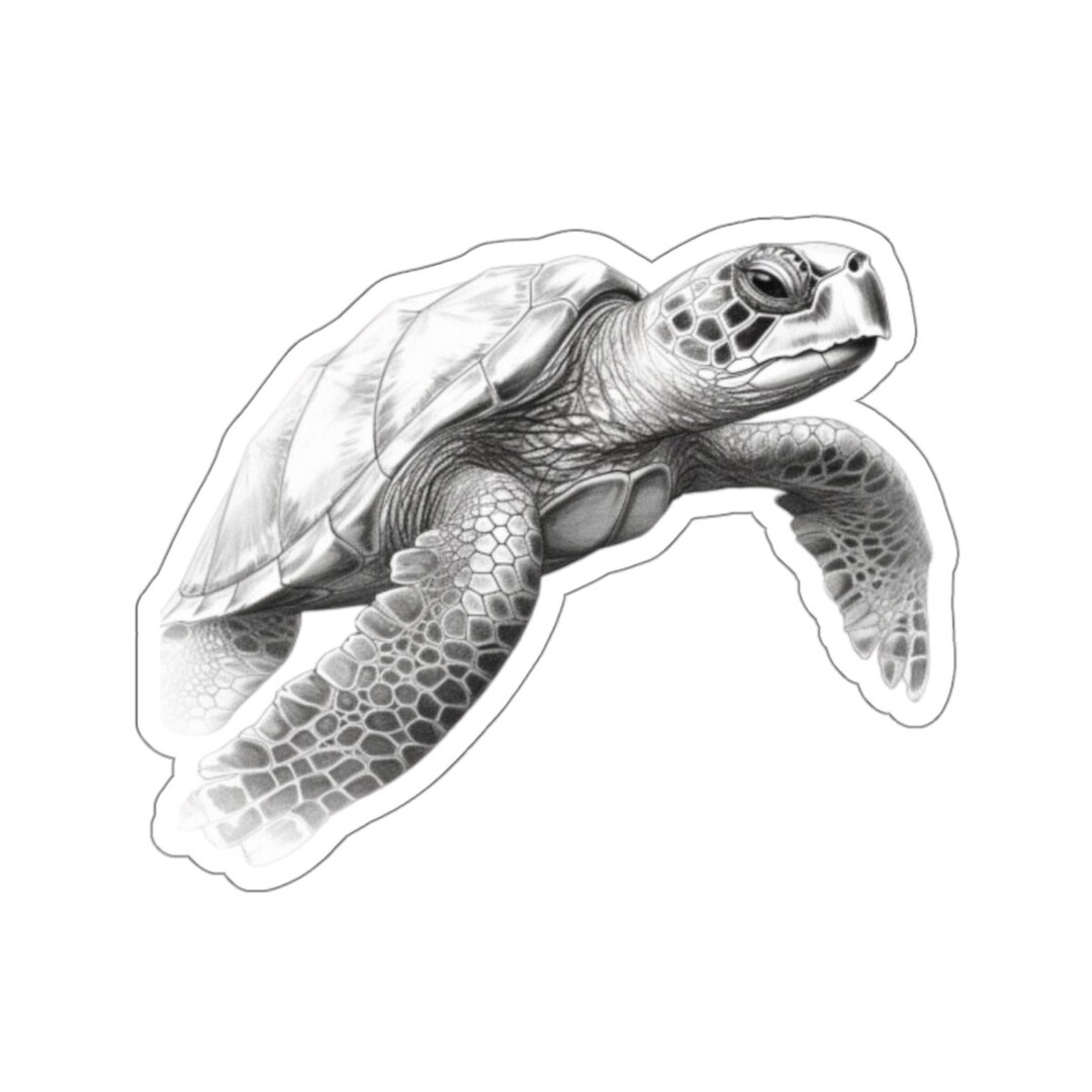 Sea Turtle Sticker, Ocean Sticker, Sealife Stickers, Fun Stickers Etsy