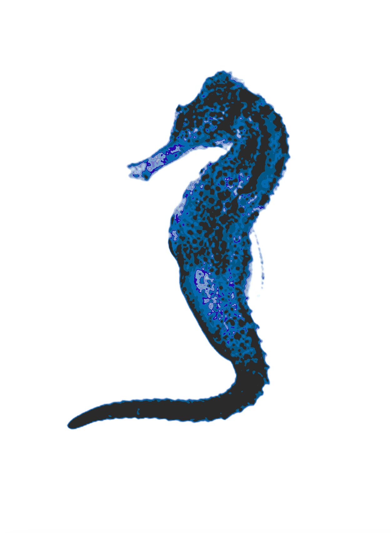 SEAHORSE Sea Life Hamptons Beach Themed Wall ART Poster Etsy