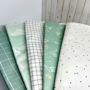 Curated Bundle of 5 - 1 Yard Cut Each of 5 Fabrics. Most from the Wild and Free Collection by Riley Blake. Free Fabric Samples Available!