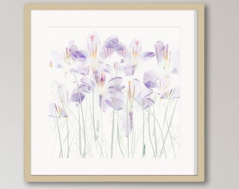 Purple Spring Flower Watercolor Painting Print, Nature Violet Home Decor Wall Art