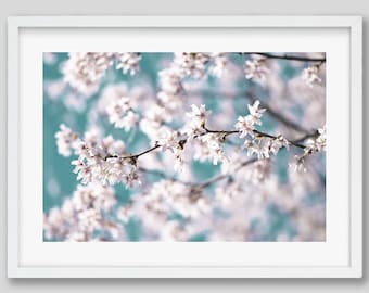Cherry Blossom Wall Art Photography Print, Spring Color Botanical Flower Wall Decor