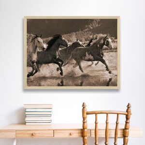 Running Horses Photography Print: Western Rodeo Wall Art