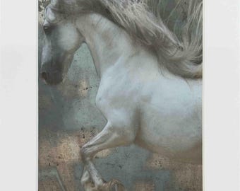 Horse Exposures II (8x10)