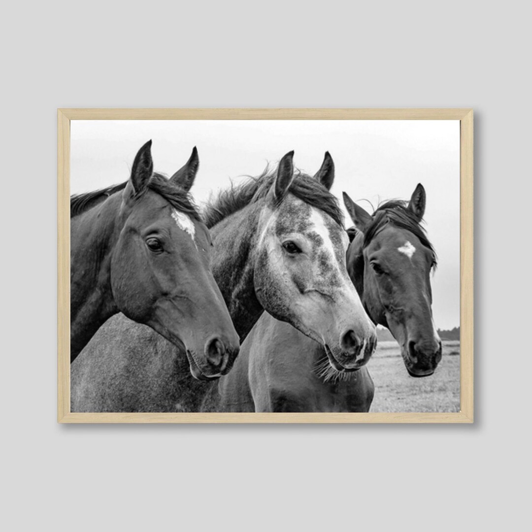 Black and White Horses Print: Rustic Farmhouse Wall Art - Etsy