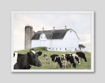 Cows Grazing at the Farmhouse, Country Artwork Barn or Kitchen Wall Art Print Home Decor