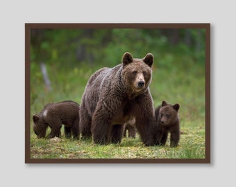 Brown Bear Family in Forest Wildlife Photography Wall Art Print