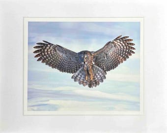 Impresión artística de búho gris, papel mate (12 x 9)