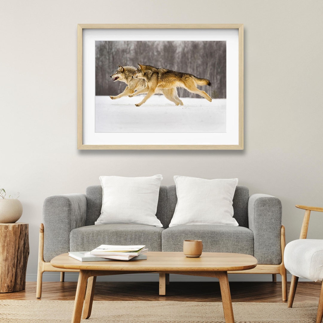 Wild Wolves Running Photography Print: Winter Snowy Scene Cabin Wall ...