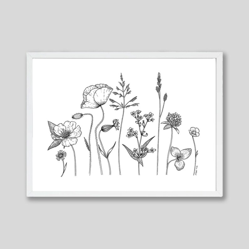 Minimalist Wildflower Line Art Print: Black and White Botanical Decor ...