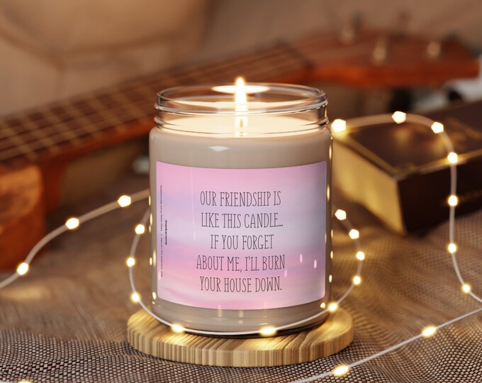 Friendship candle, Best Friend Gift, Friendship Gift, Friend Gift, Our Friendship is Like This Candle, Funny Friend Gift, Candle for Friend