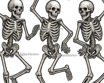 Dancing Skeletons PNG | Halloween Clipart | Spooky Digital Download for T-Shirts, Stickers, and Crafts