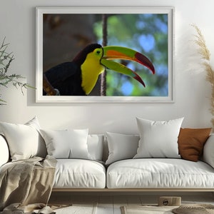 Tropical Toucan Art Print Jungle Wall Hanging Original Travel Photography Colourful Wall Art Decoration for Playroom Décor Gift for Her