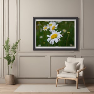 Fotografía imprimible de margaritas / Fotografía de flores silvestres / Regalo de inauguración de la casa / Decoración de pared de primavera de granja / Arte de pared floral / Impresión floral