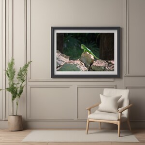 Green Iguana Stylish Home Decor | Iguana Digital Photo | Iguana Print | Iguana Picture |Iguana Art Print | Creative Gift Idea | Housewarming