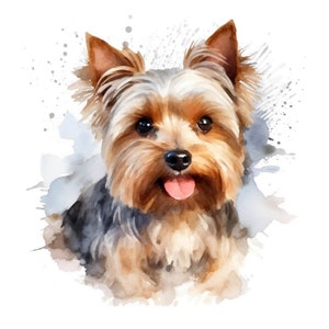10 Yorkshire Terrier Clip Art | JPG-Dateien Clip Art | Digitaler Download, Kartenherstellung, Journaling, Kalender, T-Shirt