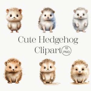 Mignon bébé hérisson Clipart | 10 PNG transparents | Animal des bois, décor de baby shower, art de chambre d’enfant, aquarelle en téléchargement numérique