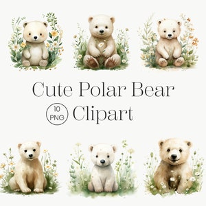 Cute Polar Bear Clipart, 10 High Quality PNG, Woodland Animal, Baby Shower Decor, Nursery Art, Digital Download Watercolor Bear