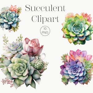Watercolor Succulent Clipart | 10 High Quality Transparent PNG | Succulent Clipart Bundle Flower Clipart Greenery Journal Cactus Clip Art