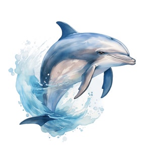 Süßer Delfin Clipart | 10 Hochwertige JPG | Niedliche und lustige Aquarell Delfin Clipart Bundle Meer Tier Clip Art