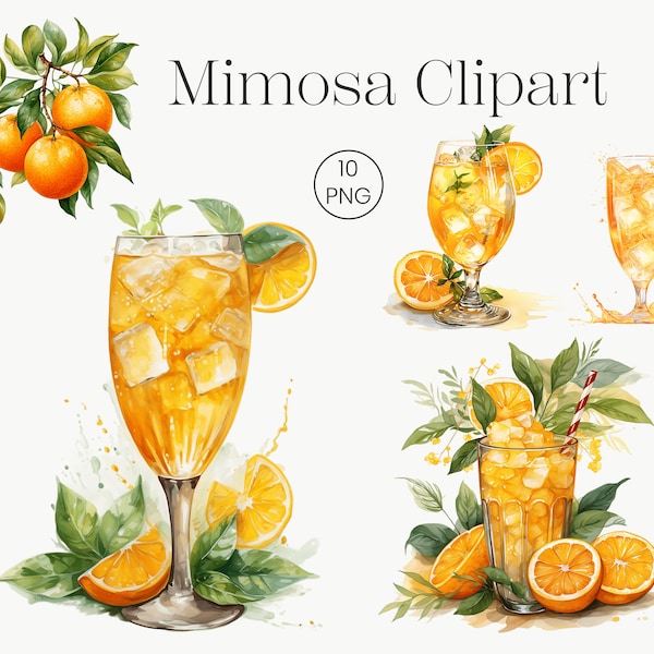 Mimosa Cocktail Clipart | 10 High Quality Transparent PNG | Summer Cocktail Clipart Orange Cocktail Clip Art Champagne Brunch Watercolor