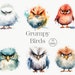 Grumpy Birds Clipart: 10 Watercolor PNG Images (digital Download) - Etsy