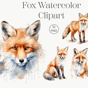 Renard Clipart aquarelle | 10 PNG transparents | Renard PNG Woodland Animal Clipart, Woodland Red Fox, Clip Art, Digital Paper Craft