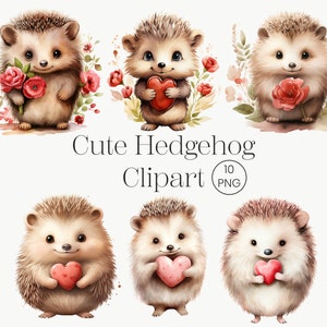 Clipart de dia dos namorados em aquarela | 10PNG | Clipart de ouriço fofo, clipart de primavera, clipart de dia dos namorados, animal da floresta