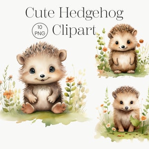 Mignon hérisson Clipart, 10 PNG de haute qualité, Animal des bois, Décor de baby shower, Art de la crèche, Téléchargement numérique Aquarelle Hérisson