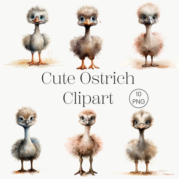 Baby Ostrich Clipart | 10 Transparent PNG | Cute Bird Commercial use Watercolor Clipart Ostrich Card Making Mixed Media Digital Paper Craft