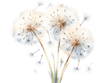 May include: A watercolor painting of three white dandelion seed heads with brown centers. The dandelions are arranged in a bouquet with some seeds floating in the air.