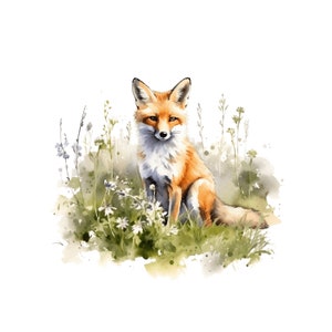Renard dans un pré Clipart | 10 JPG de haute qualité | Renard mignon Clipart Wild Animal Clipart renard fabrication de cartes, Clip Art Woodland Animal