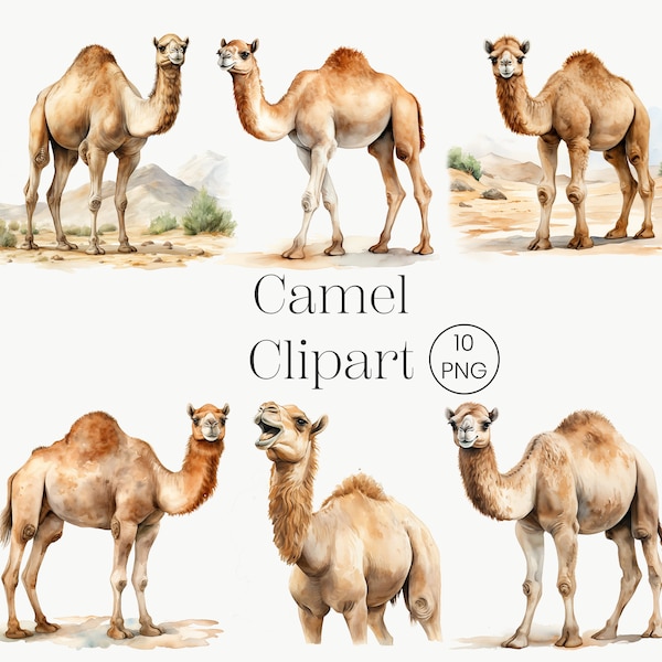 Camel Clipart 10 PNG Watercolor Camel Funny Camel Printable Watercolor Clipart Funny Animal High Quality Digital download High resolution