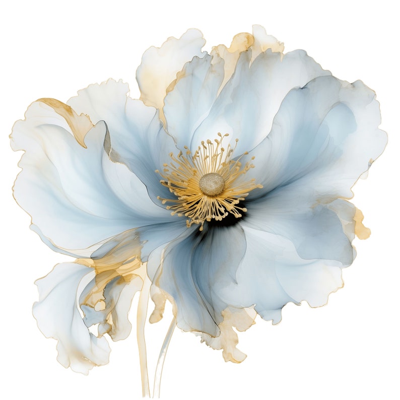 May include: A watercolor illustration of a large, delicate flower with soft, translucent petals. The flower is primarily light blue with gold accents along the edges of the petals and in the center. The stamens are a golden color.