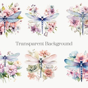 Watercolor Dragonfly Clipart: Floral Insect PNG Collection (digital ...