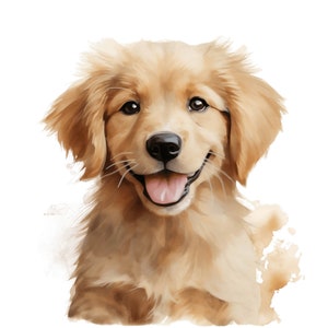 Golden Retriever-puppy clipart | 12 Hoge kwaliteit JPG | Schattige hond clipart, hond JPG, aquarel Golden Retriver pups, hond portret