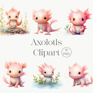 Watercolor Axolotls Clipart, 10 PNG Watercolor Highland Cute Baby Axolotl Digital Clipart Instant Download  Nursery Decor Cute Animals