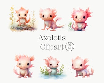 Watercolor Axolotls Clipart, 10 PNG Watercolor Highland Cute Baby Axolotl Digital Clipart Instant Download  Nursery Decor Cute Animals