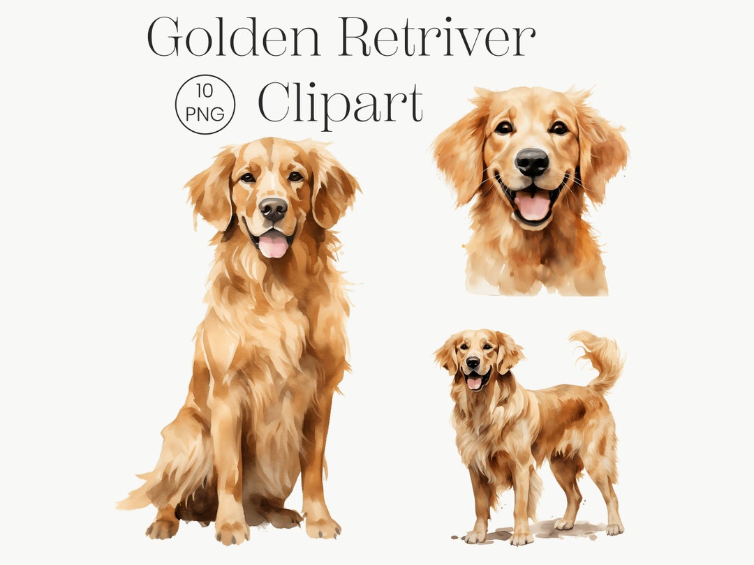 Watercolor Golden Retriever Clipart: 10 Dog PNG Images (commercial ...