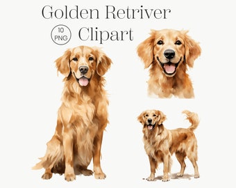 ゴールデン レトリバーのクリップアート | 10 の高品質 PNG | かわいい犬のクリップアート、犬の PNG、水彩画のゴールデン レトリバー PNG、犬の肖像画、商用ライセンス