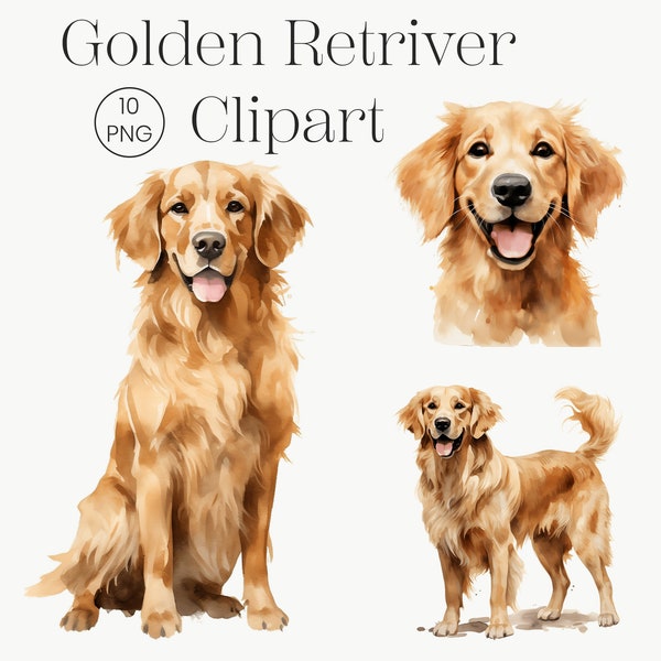 Clipart Golden Retriver / 10 PNG di alta qualità / Clipart cane carino, PNG cane, PNG acquerello Golden retriver, Ritratto cane, Licenza commerciale